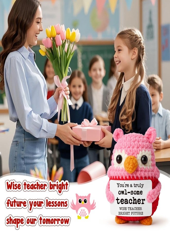 Hweijm Pink Owl Crochet Birthday Gift for Teacher, Handmade Thank You Keepsake for Women Mentors, Inspirational Crochet Teacher Appreciation Present, Graduation End of School Year Desk Decor - Image 5